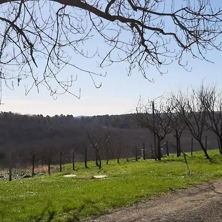 De Campagne Au Coeur Du Perigord A Rouffignac-saint-cernin-de-reilhac Holiday home