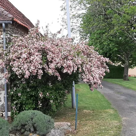 De Campagne Au Coeur Du Perigord A Rouffignac-saint-cernin-de-reilhac *
